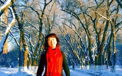 新版猫咪目前的地址IOS